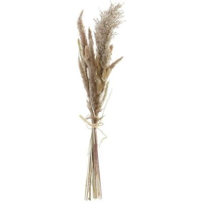 DKD Home Decor Asciutto Beige Marron Branche - Décorative branche DKD Home Decor Asciutto Beige Marron Branche - Décorative branche