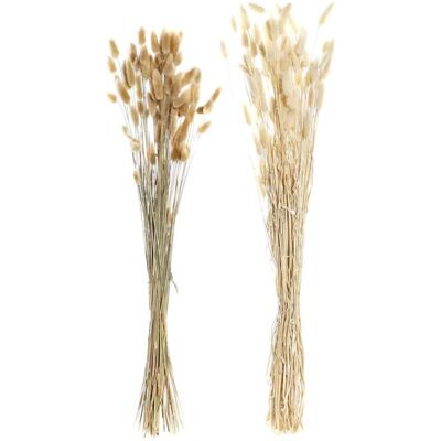 DKD Home Decor Fleurs Séchées Beige Marron - Fleurs Secs - 12x12x76cm DKD Home Decor Fleurs Séchées Beige Marron - Fleurs Secs - 12x12x76cm