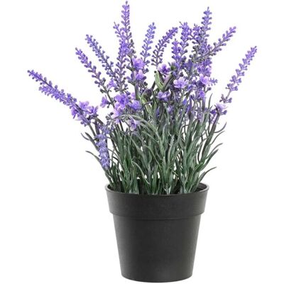 DKD HOME DECOR Multicolore - Plante Décorative DKD HOME DECOR Multicolore - Plante Décorative