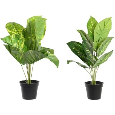 DKD HOME DECOR Multicolor - Plante - Plante décorative DKD HOME DECOR Multicolor - Plante - Plante décorative