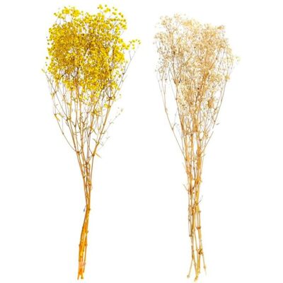 DKD HOME DECOR Plante décorative beige jaune - Plante Décorative DKD HOME DECOR Plante décorative beige jaune - Plante Décorative