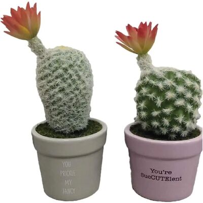 DKD HOME DECOR Plante Décorative Cactus en Céramique - Multicolore DKD HOME DECOR Plante Décorative Cactus en Céramique - Multicolore