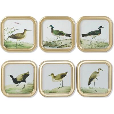 Tableau DKD Home Decor Cottage Oiseaux - Peinture Tableau DKD Home Decor Cottage Oiseaux - Peinture