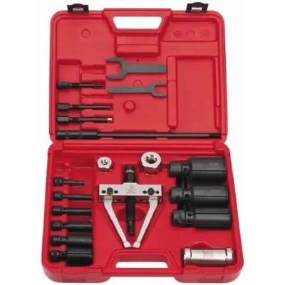 Set estrattori interni Forza - Ponte 4392, Pinze 4420-4447 Set estrattori interni Forza - Ponte 4392, Pinze 4420-4447