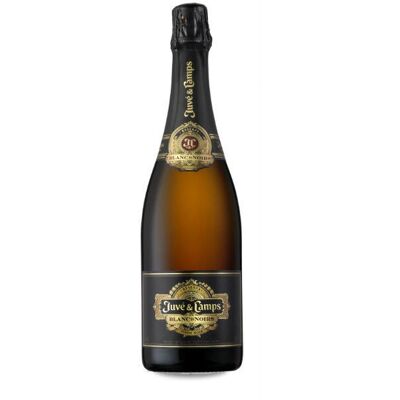 Juvé & Camps Blanc de Noirs 0,75l Juvé & Camps Blanc de Noirs 0,75l