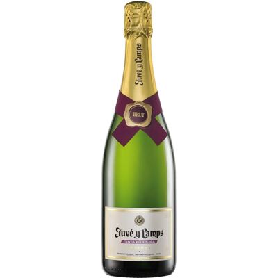 Juvé & Camps Cinta Púrpura Brut - 0,75l Juvé & Camps Cinta Púrpura Brut - 0,75l