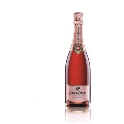 Juvé & Camps Brut Rosé 0,75l Juvé & Camps Brut Rosé 0,75l
