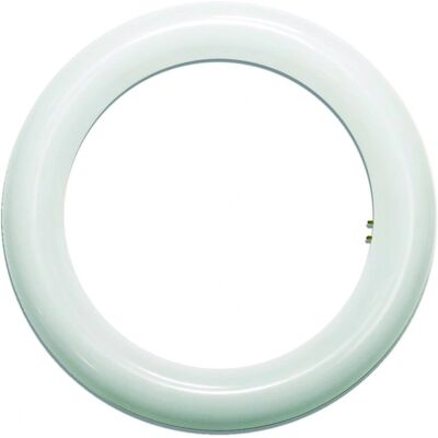 Onbekend - 2G10 Circulair 215mm 15W - Wit Kristal Onbekend - 2G10 Circulair 215mm 15W - Wit Kristal