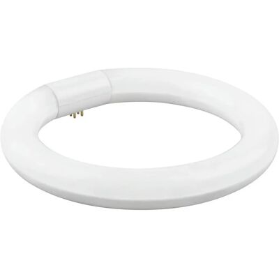 MATEL Kreisförmige LED-Deckenleuchte - 30cm, 20W, Kaltweiß MATEL Kreisförmige LED-Deckenleuchte - 30cm, 20W, Kaltweiß
