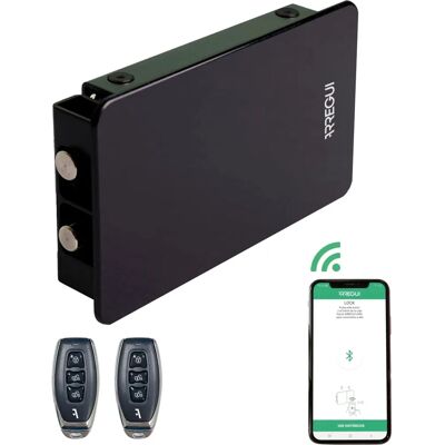 ARREGUI KAMO Cerradura Inteligente Invisible - Seguridad para Puertas ARREGUI KAMO Cerradura Inteligente Invisible - Seguridad para Puertas