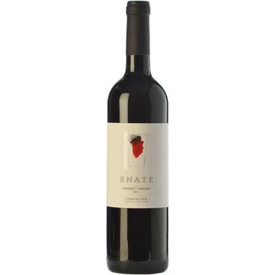 Enate Cabernet Sauvignon - Kräftiger Rotwein - Somontano Enate Cabernet Sauvignon - Kräftiger Rotwein - Somontano