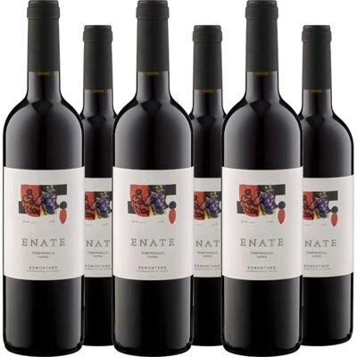 Enate Tempranillo 2021 - Rotwein aus Spanien Enate Tempranillo 2021 - Rotwein aus Spanien