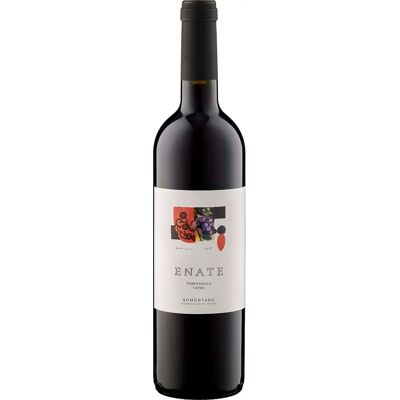 Enate Tempranillo 2021 - Rotwein aus Spanien Enate Tempranillo 2021 - Rotwein aus Spanien