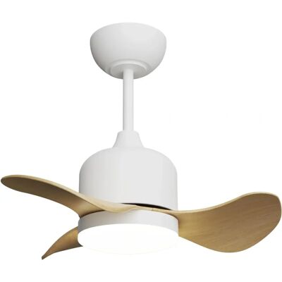 Ventilador de techo blanco Lily Sulion con luz y altavoz Bluetooth Ventilador de techo blanco Lily Sulion con luz y altavoz Bluetooth