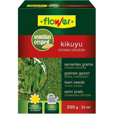 Semi di kikuyu fiorito - 250g - Prati decorativi Semi di kikuyu fiorito - 250g - Prati decorativi