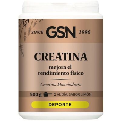 Gsn Creatine - 125g Kreatin & Kohlenhydrate - Sportergänzung Gsn Creatine - 125g Kreatin & Kohlenhydrate - Sportergänzung