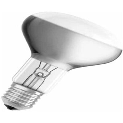 CLAR Lampadina R90 Riflessione 100W CLAR Lampadina R90 Riflessione 100W
