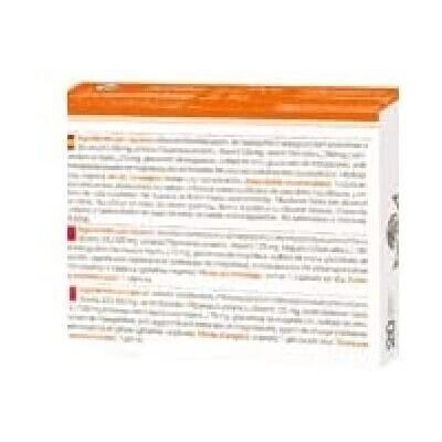 Bioserum Azione Apoio ao Sistema Imunológico - 20 Cápsulas - Suplemento Alimentar Bioserum Azione Apoio ao Sistema Imunológico - 20 Cápsulas - Suplemento Alimentar
