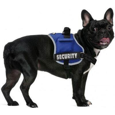 Imbracatura NAYECO Blu - 35-60 cm - Imbracatura per Cani Imbracatura NAYECO Blu - 35-60 cm - Imbracatura per Cani