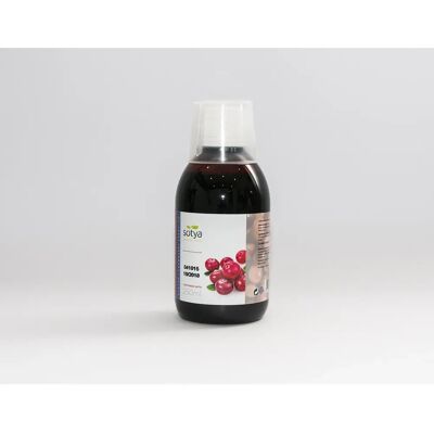 Concentrado de Cranberry Sotya - Suplemento para a Saúde Urinária Concentrado de Cranberry Sotya - Suplemento para a Saúde Urinária