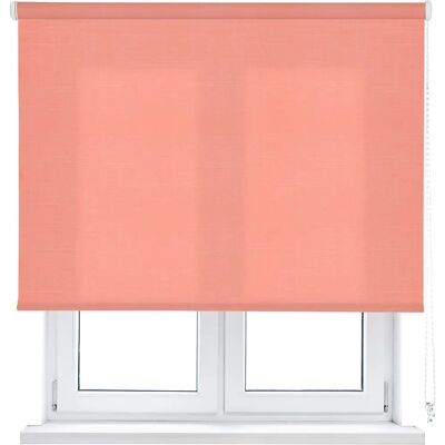 Viewtex Modello 150 x 250 cm - Tenda a rullo trasparente Viewtex Modello 150 x 250 cm - Tenda a rullo trasparente