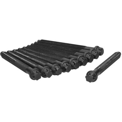 Ajusa 81003000 - Sett med topplokkskruer for Renault 11, 19, 21, 9 Clio, Espace Ajusa 81003000 - Sett med topplokkskruer for Renault 11, 19, 21, 9 Clio, Espace