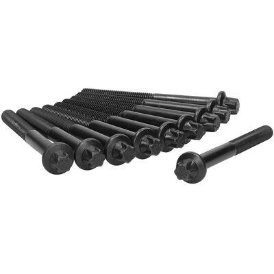 Ajusa 81011900 - Kjøretøy for Saab 900 - Torx, M12, 122mm Ajusa 81011900 - Kjøretøy for Saab 900 - Torx, M12, 122mm