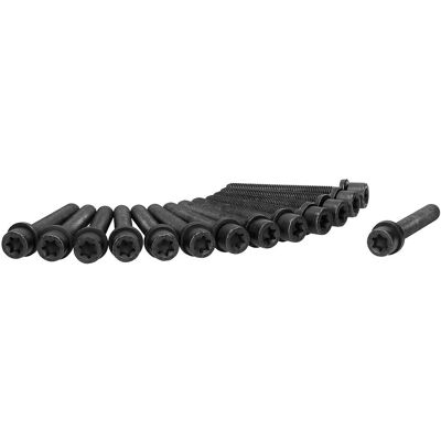 AJUSA 81020200 - Sylinderhodeskruer - Innvendig Torx 14 - For Opel og Vauxhall AJUSA 81020200 - Sylinderhodeskruer - Innvendig Torx 14 - For Opel og Vauxhall