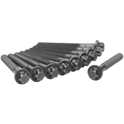 Ajusa M12 Zylinderkopfschrauben Satz - Außen-Torx - 10 Stück Ajusa M12 Zylinderkopfschrauben Satz - Außen-Torx - 10 Stück
