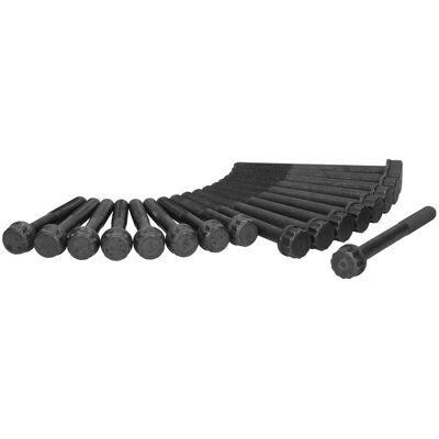Ajusa Hyundai Kia Zylinderkopfschraubensatz - M12 Polygon Ajusa Hyundai Kia Zylinderkopfschraubensatz - M12 Polygon