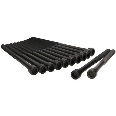 Ajusa Modèle 81043400 Jeu de boulons de culasse M12 - Jeu de boulons de culasse Ajusa Modèle 81043400 Jeu de boulons de culasse M12 - Jeu de boulons de culasse