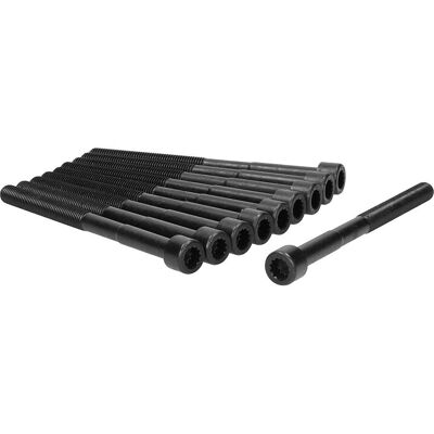 AJUSA 81042100 Topplocksbultar - Engine Cylinder Head Bolts AJUSA 81042100 Topplocksbultar - Engine Cylinder Head Bolts
