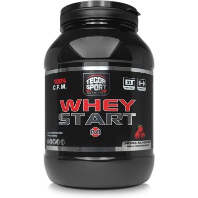 Tegor Sport Whey Start M Fresa Silvestre - Polvo de Proteínas Tegor Sport Whey Start M Fresa Silvestre - Polvo de Proteínas
