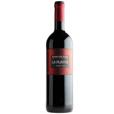 Vin La Planta 2021 de Bodegas Arzuaga Navarro - Publicité Vin La Planta 2021 de Bodegas Arzuaga Navarro - Publicité