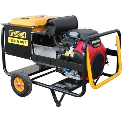 Ayerbe GX-630 - 12500 H MN E Generador - Monofásico 230 V Ayerbe GX-630 - 12500 H MN E Generador - Monofásico 230 V