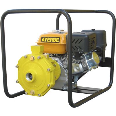 Ayerbe Modelo 5419300 Bomba de Agua de Alto Rendimiento - Bomba Ayerbe Modelo 5419300 Bomba de Agua de Alto Rendimiento - Bomba