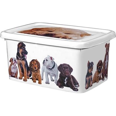 GREAT PLASTIC Contenitore - 4L Design di cani - Plastica GREAT PLASTIC Contenitore - 4L Design di cani - Plastica
