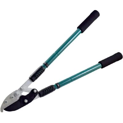 Tijeras de Jardinería Ferrestock - Verde/Azul - Mango telescópico Tijeras de Jardinería Ferrestock - Verde/Azul - Mango telescópico