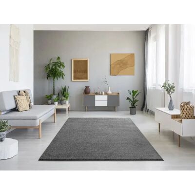 MONTANA - MONTANA - Gris - 200x290 cm - tapis - Publicité MONTANA - MONTANA - Gris - 200x290 cm - tapis - Publicité