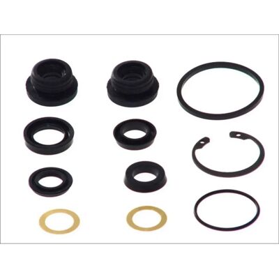 Kit de reparación de cilindro de freno principal Autofren Seinsa D1569 Kit de reparación de cilindro de freno principal Autofren Seinsa D1569
