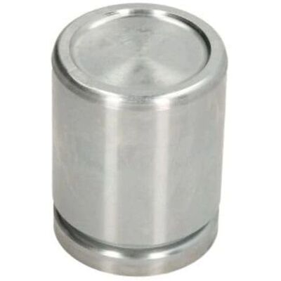 Émbolo de freno AUTOFREN SEINSA D025646 - Delantero Émbolo de freno AUTOFREN SEINSA D025646 - Delantero