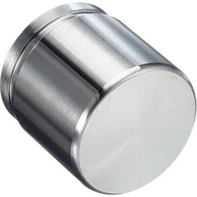 Autofren D025649 Pistone del Grasso Freno - Sistema Frenante, Acciaio, Anteriore Autofren D025649 Pistone del Grasso Freno - Sistema Frenante, Acciaio, Anteriore