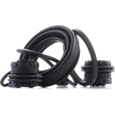 Kit di riparazione pinza freno posteriore Autofren Seinsa D42557 - Sistema dei freni Kit di riparazione pinza freno posteriore Autofren Seinsa D42557 - Sistema dei freni