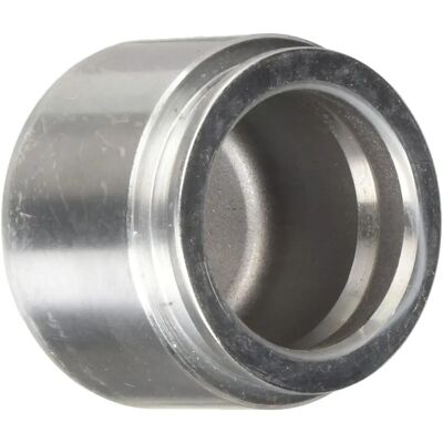 Autofren Seinsa D025696 - Pinza freno anteriore in acciaio Autofren Seinsa D025696 - Pinza freno anteriore in acciaio