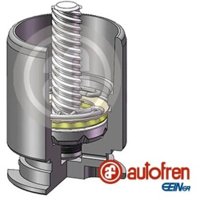 AUTOFREN SEINSA D02554LK - Πίστον δαγκάνας φρένου - Προβολέας πίσω άξονας - Bosch AUTOFREN SEINSA D02554LK - Πίστον δαγκάνας φρένου - Προβολέας πίσω άξονας - Bosch