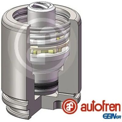 AUTOFREN SEINSA D025558K Πυκνωτής δαγκάνας φρένου - Δαγκάνα φρένου AUTOFREN SEINSA D025558K Πυκνωτής δαγκάνας φρένου - Δαγκάνα φρένου