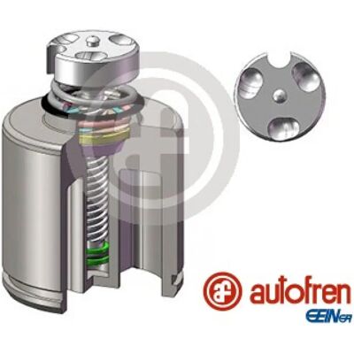 AUTOFREN SEINSA D025627RK Brake Caliper Piston - Brake System AUTOFREN SEINSA D025627RK Brake Caliper Piston - Brake System