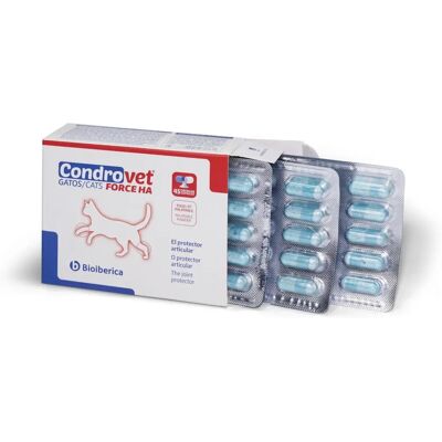Bioiberica Katzen-Gelenkunterstützung - Chondrovet Force HA 45 Kapseln Bioiberica Katzen-Gelenkunterstützung - Chondrovet Force HA 45 Kapseln
