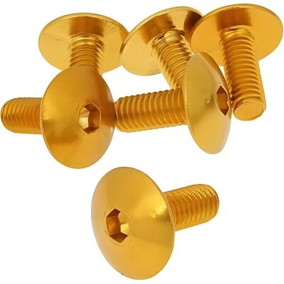 Ensemble de vis hexagonales en aluminium doré Vparts - M6x15 - 6 pcs - Publicité Ensemble de vis hexagonales en aluminium doré Vparts - M6x15 - 6 pcs - Publicité
