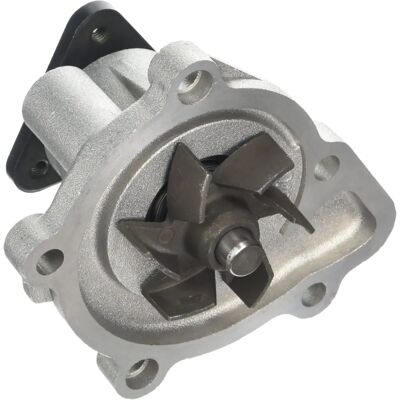 Dolz N207 Wasserpumpe - Passend für Chrysler, Citroën, Dodge, Jeep, Mitsubishi, Hyundai, Kia, Nissan, Peugeot, Lancia Dolz N207 Wasserpumpe - Passend für Chrysler, Citroën, Dodge, Jeep, Mitsubishi, Hyundai, Kia, Nissan, Peugeot, Lancia